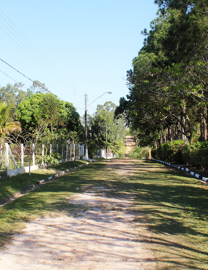 entrada2