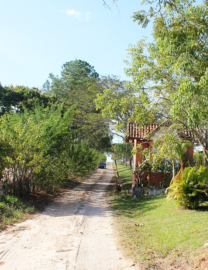 entrada3